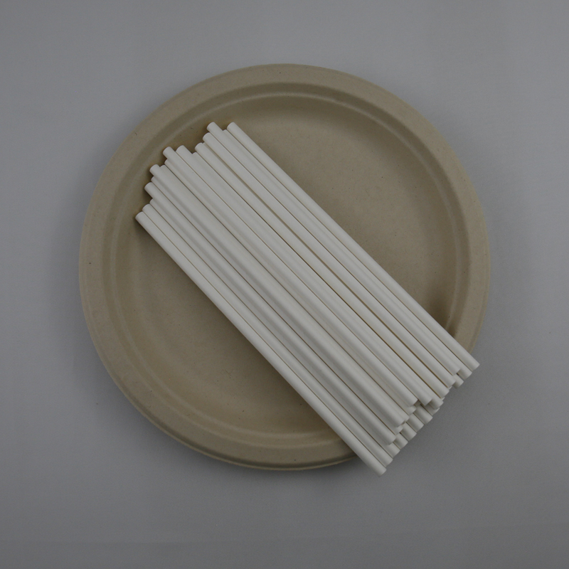 Disposable-Biodegradable-Paper-Drinking-Straws.jpg