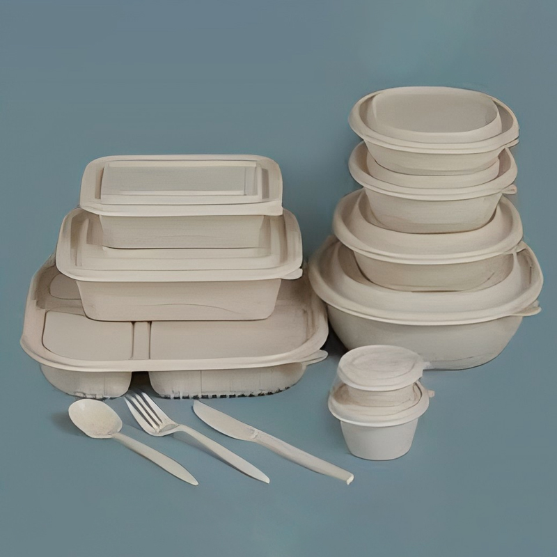 100%-Eco-Friendly-Biodegradable-Tableware.jpg